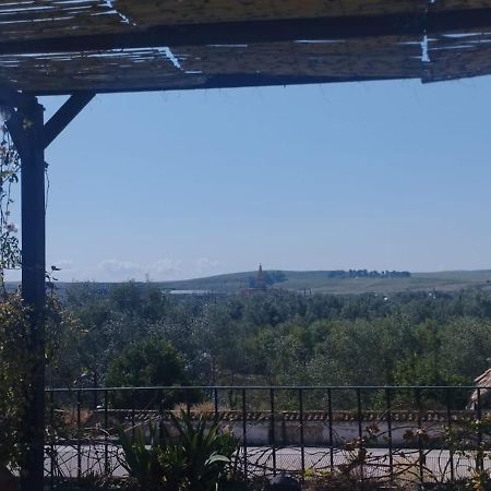 My Small Penthouse With Views.Tourism & Tranquility & Sun Cordoba Ngoại thất bức ảnh